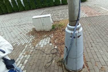 plazove7