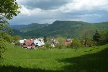 Kordiky
