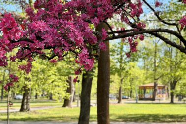 park2