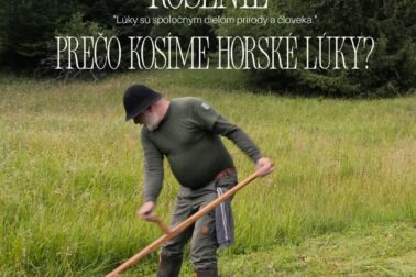 kosba1