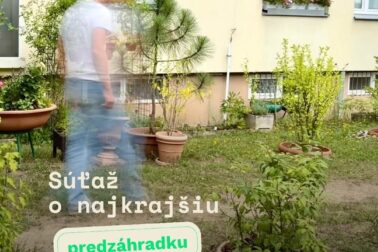 sutaz1
