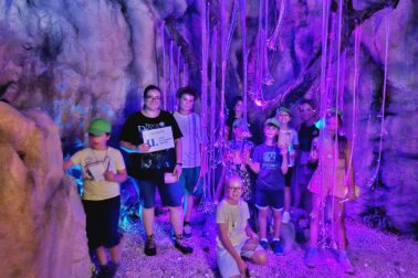 DLVA_2026_05