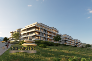 greinberg1