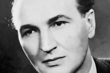 palo-bielik