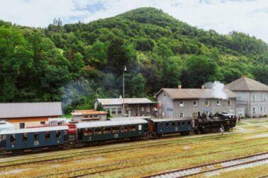 special_130_ozubnica_13