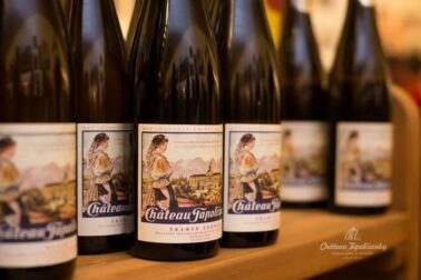 vina chateau topolcianky