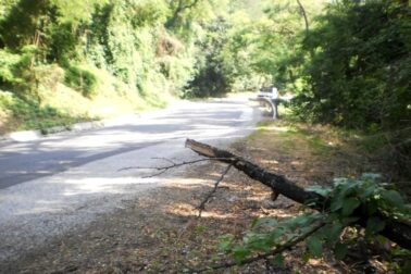 stara cesta2