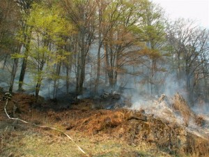 poziar-st_hory_15_4_2007_0111