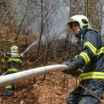 V.FATRA: Pozemné hasenie lesného po?iaru