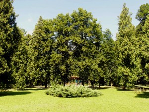 mestsky-park11