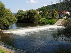 salkova2