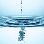 fresh-water