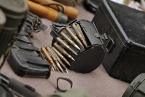 military_day_2013 (3)