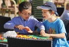 lego rekord 2013 (7)