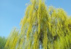 pocasie2(1)