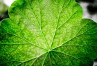 envirofilm2