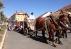 festival9