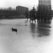 POVODEŇ´74: Skrotenie zlej ženy včera a dnes