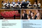 plagat festivalu