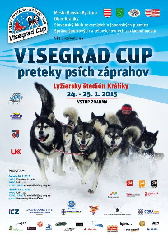 Kraliky2015 plagat