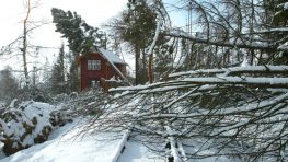 Meteorológovia varujú pred silným vetrom na horách, Tatrám hrozí kalamita