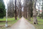 mestsky park4