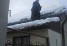 pes na streche (2)