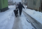pes na streche (3)