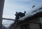 pes na streche (7)
