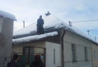 pes na streche (8)