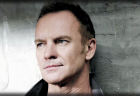 sting