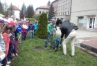 usmev pre strom (1)