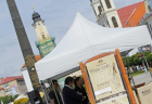 Vinspacirka (2)