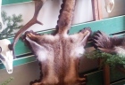vystava7