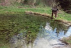pocasie3