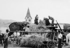 Prvá mlatba obilia sásovských družstevníkov na Pustom (1950)