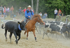 Ródeo-Ľupča-29
