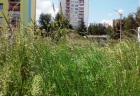 trava3