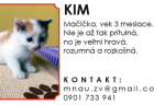 macka2