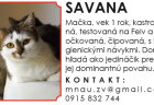 macka3