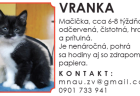 macka6