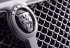 jaguar3