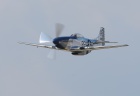mustang2