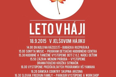leto v haji 2015 plagat