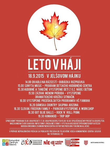 leto v haji 2015 plagat