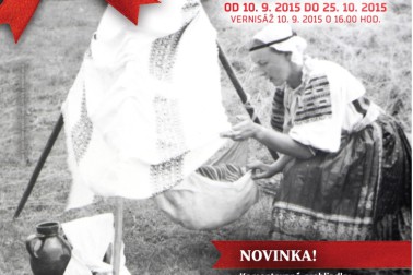 plagat vystavy