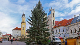 FOTO: Vianočný strom putoval zo Školskej na Námestie SNP, v piatok ho rozsvieti Mikuláš