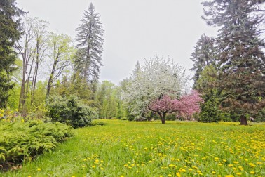 park4
