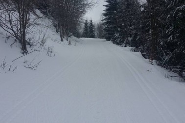 kuzmi3