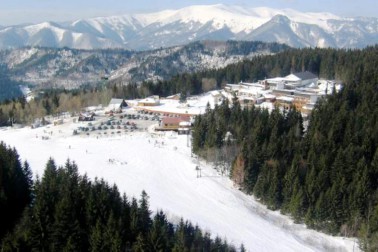sachticky2